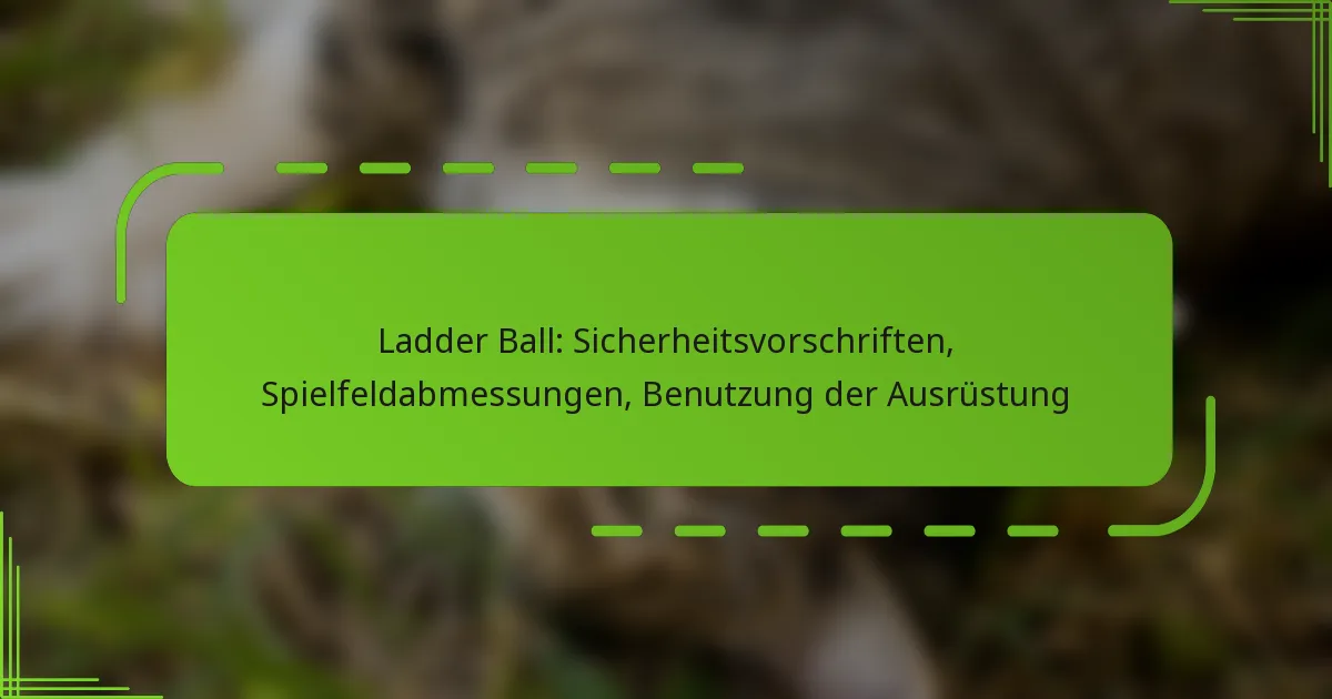 Ladder Ball: Sicherheitsvorschriften, Spielfeldabmessungen, Benutzung der Ausrüstung