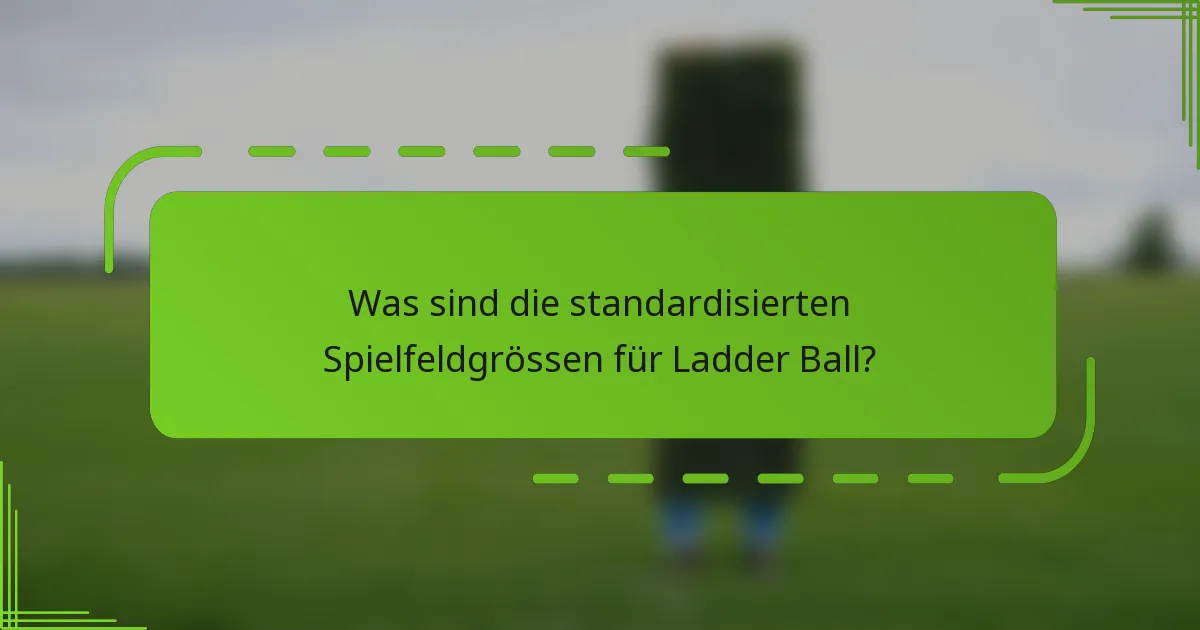 Was sind die standardisierten Spielfeldgrössen für Ladder Ball?