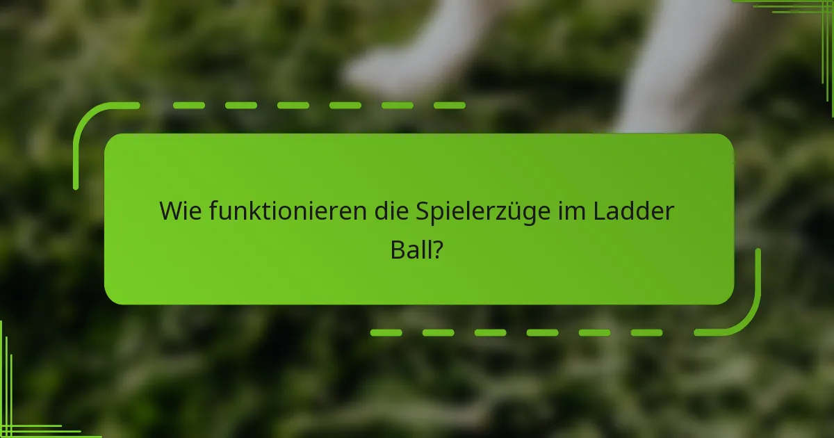 Wie funktionieren die Spielerzüge im Ladder Ball?