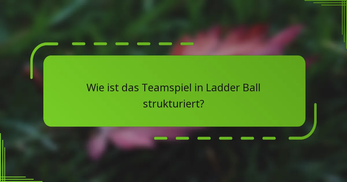 Wie ist das Teamspiel in Ladder Ball strukturiert?