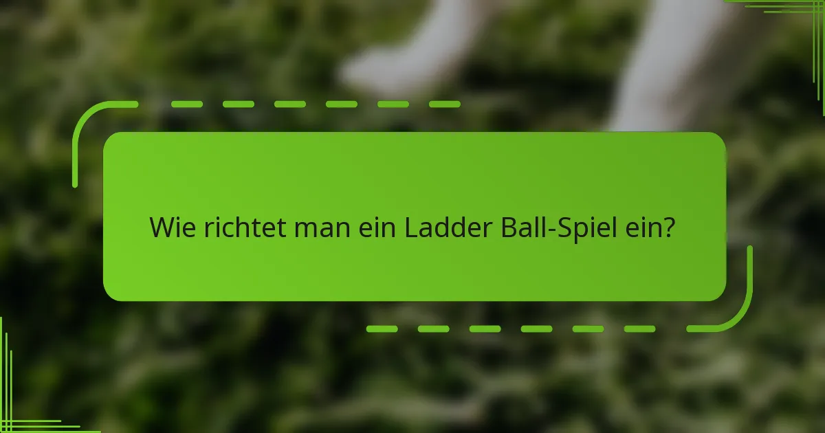 Wie richtet man ein Ladder Ball-Spiel ein?
